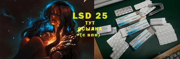 марки lsd Ельня