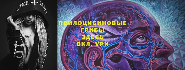 марки lsd Ельня