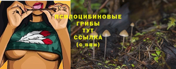 наркотики Елизово