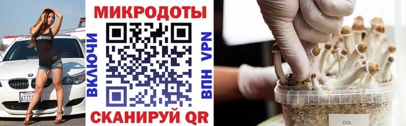 Псилоцибиновые грибы мицелий  блэк спрут   Долгопрудный  как найти наркотики 